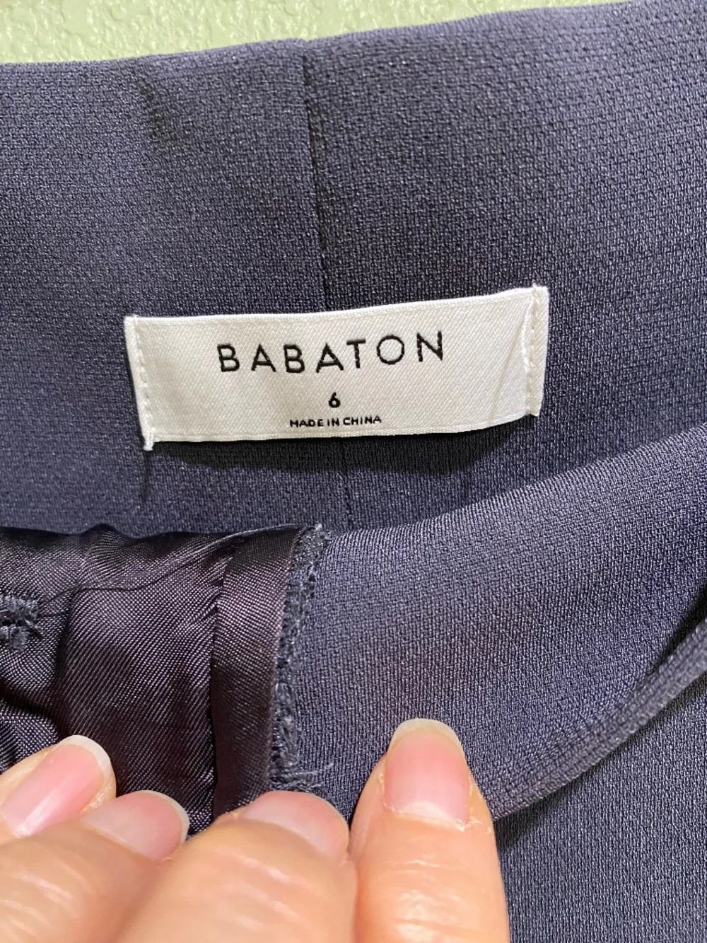 Babaton Aritzia Pants